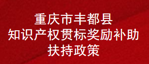 重庆市丰都县知识产权贯标奖励补助扶持政策(图1)