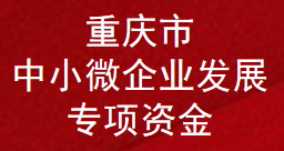 重庆市中小微企业发展专项资金(图1)