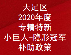 重庆市大足区2020年度专精特新,小巨人,隐形冠军奖励补助政策(图1)