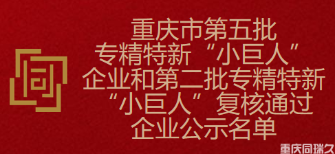 重庆市第五批专精特新“小巨人”企业和第二批专精特新“小巨人”复核通过企业公示名单(图1)