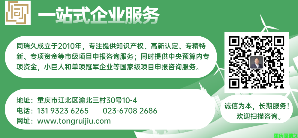 2023年度重庆市沙坪坝区新型研发机构和企业创新联合体认定申报通知(图2)