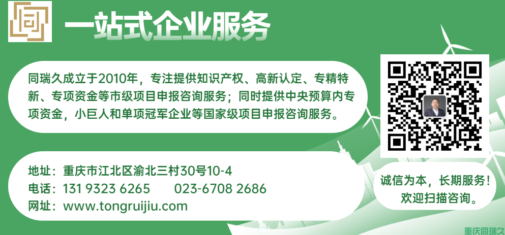 2024年重庆市制造业单项冠军企业遴选认定申报通知(图2)