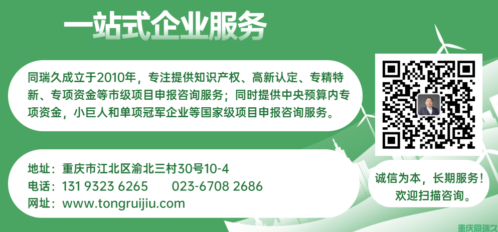 重庆市经济和信息化委员会发布2023-2024年度“技改专项贷”申报通知(图2)