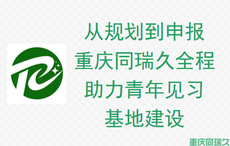 从规划到申报，重庆同瑞久全程助力青年见习基地建设及补贴申报(图1)