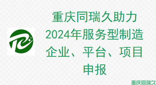 重庆同瑞久助力重庆市2024年服务型制造企业、平台、项目申报(图1)