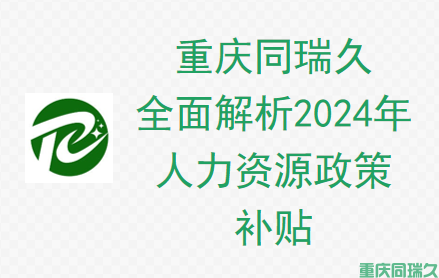 重庆同瑞久全面解析2024年人力资源政策补贴(图1)