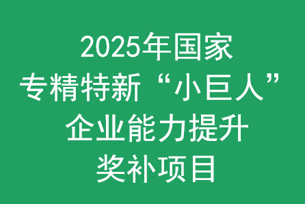 重庆同瑞久助力企业申报2025年“小巨人”能力提升奖补项目，专业指导赢取50万奖补！(图1)