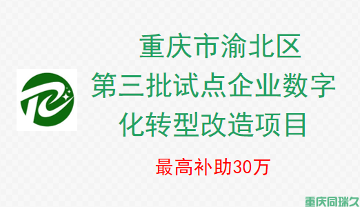 渝北区数字化转型政策解读：2024中小企业评测指标与30万补助申报指南 | 企业升级必备(图1)