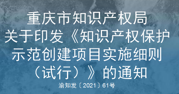 渝知发〔2021〕61号 关于印发《知识产权保护示范创建项目实施细则（试行》的通知(图1)